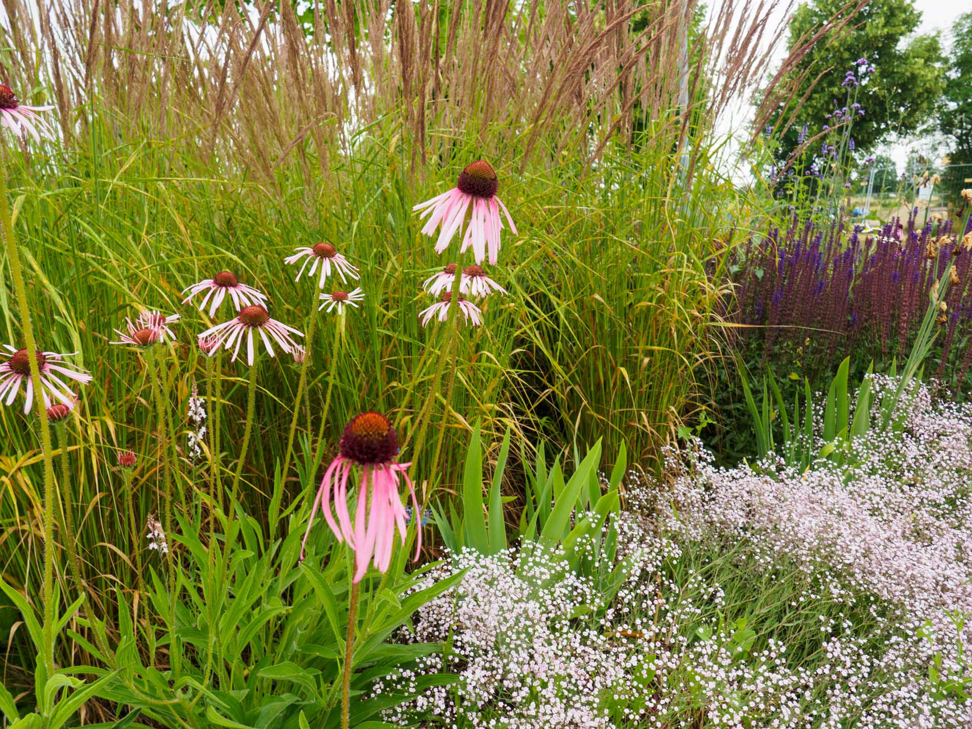 Projekt Bild